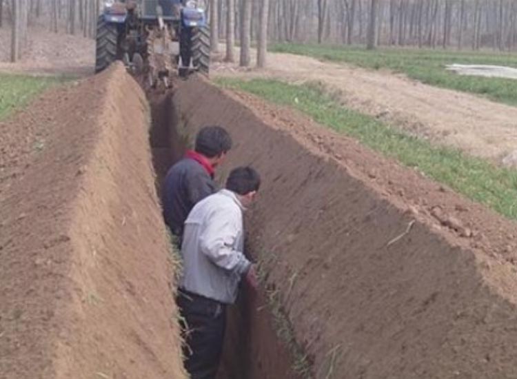 Single-Chain-Trencher-&-Double-Chain-Trencher